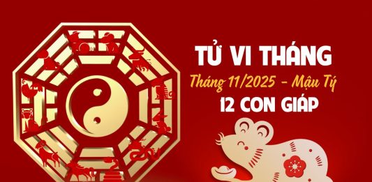 Tử vi 12 con giáp tháng 11/2025 âm lịch
