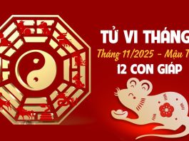 Tử vi 12 con giáp tháng 11/2025 âm lịch: Sửu đón tin vui, Dậu gặp biến động không ngờ