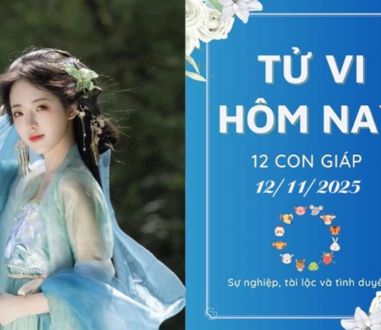 Tử Vi Hôm Nay Ngày 12/11/2025 Của 12 Con Giáp: Tý Gặp Trục Trặc, Sửu Thắng Lớn Tử vi hôm nay