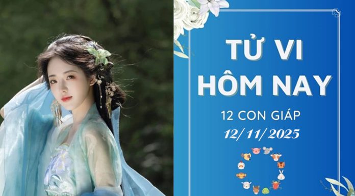 Tử Vi Hôm Nay Ngày 12/11/2025 Của 12 Con Giáp: Tý Gặp Trục Trặc, Sửu Thắng Lớn Tử vi hôm nay