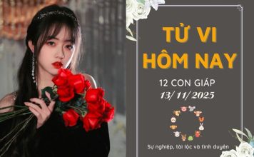 Tử vi hôm nay ngày 13/11/2025 của 12 con giáp: Ngọ may mắn, Tuất bận rộn với nhiều việc