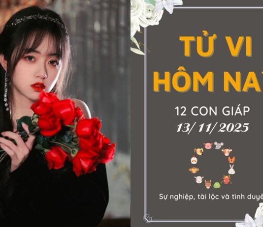 Tử vi hôm nay ngày 13/11/2025 của 12 con giáp: Ngọ may mắn, Tuất bận rộn với nhiều việc