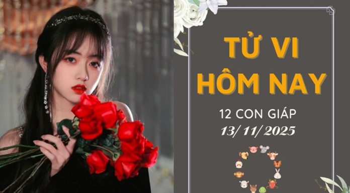 Tử vi hôm nay ngày 13/11/2025 của 12 con giáp: Ngọ may mắn, Tuất bận rộn với nhiều việc
