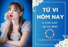 Tử vi hôm nay ngày 14/11/2025 của 12 con giáp: Mão cực vượng, Tị đi lùi tử vi hôm nay