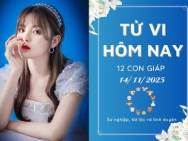 Tử vi hôm nay ngày 14/11/2025 của 12 con giáp: Mão cực vượng, Tị đi lùi tử vi hôm nay