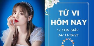 Tử vi hôm nay ngày 14/11/2025 của 12 con giáp: Mão cực vượng, Tị đi lùi tử vi hôm nay