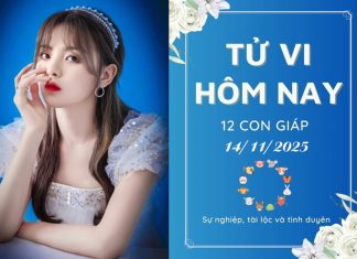 Tử vi hôm nay ngày 14/11/2025 của 12 con giáp: Mão cực vượng, Tị đi lùi tử vi hôm nay