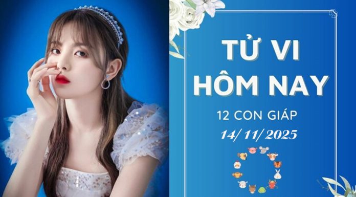 Tử vi hôm nay ngày 14/11/2025 của 12 con giáp: Mão cực vượng, Tị đi lùi tử vi hôm nay