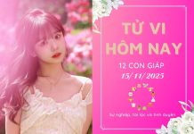 Tử vi hôm nay ngày 15/11/2025 của 12 con giáp: Tý vượng lộc, Dậu bị phá hoại tử vi hôm nay