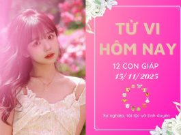 Tử vi hôm nay ngày 15/11/2025 của 12 con giáp: Tý vượng lộc, Dậu bị phá hoại tử vi hôm nay