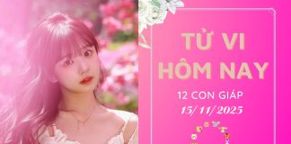 Tử vi hôm nay ngày 15/11/2025 của 12 con giáp: Tý vượng lộc, Dậu bị phá hoại tử vi hôm nay