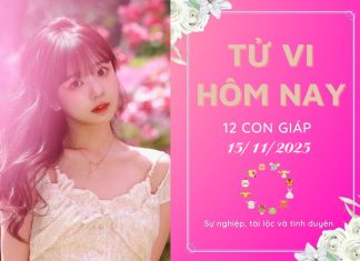 Tử vi hôm nay ngày 15/11/2025 của 12 con giáp: Tý vượng lộc, Dậu bị phá hoại tử vi hôm nay