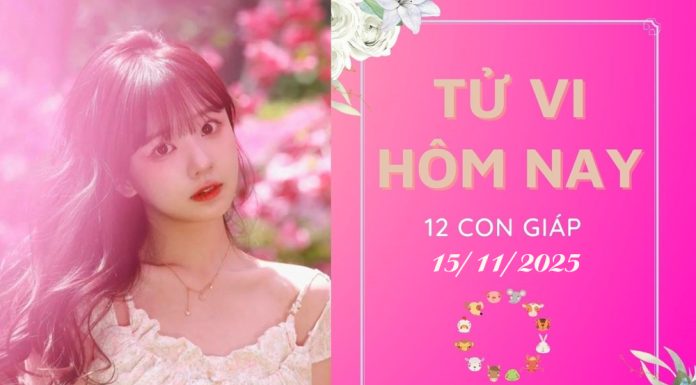Tử vi hôm nay ngày 15/11/2025 của 12 con giáp: Tý vượng lộc, Dậu bị phá hoại tử vi hôm nay