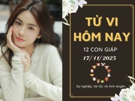 Tử vi hôm nay ngày 17/11/2025 của 12 con giáp: Thìn phấn chấn, Thân bế tắc Tử vi hôm nay
