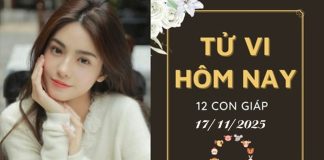 Tử vi hôm nay ngày 17/11/2025 của 12 con giáp: Thìn phấn chấn, Thân bế tắc Tử vi hôm nay