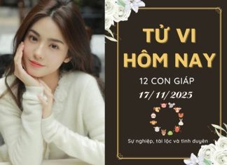 Tử vi hôm nay ngày 17/11/2025 của 12 con giáp: Thìn phấn chấn, Thân bế tắc Tử vi hôm nay