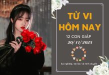 Tử vi hôm nay ngày 20/11/2025 của 12 con giáp: Mùng 1 đầu tháng tuổi nào lộc lá? Tử vi hôm nay