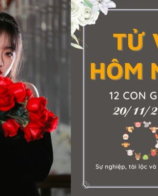Tử vi hôm nay ngày 20/11/2025 của 12 con giáp: Mùng 1 đầu tháng tuổi nào lộc lá? Tử vi hôm nay