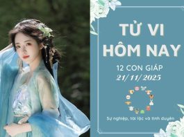 Tử vi hôm nay ngày 21/11/2025 của 12 con giáp: Tuất vượng tài lộc, Ngọ cần thận trọng Tử vi hôm nay