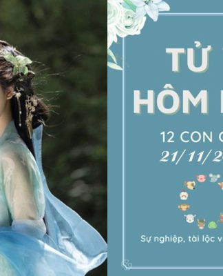 Tử vi hôm nay ngày 21/11/2025 của 12 con giáp: Tuất vượng tài lộc, Ngọ cần thận trọng Tử vi hôm nay