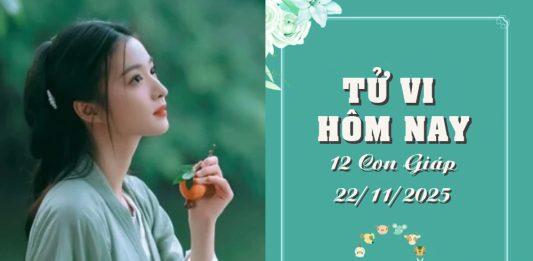 Tử Vi hôm nay ngày 22/11/2025 Của 12 Con Giáp: Tị Cân Bằng, Dậu Chán Nản Tử Vi hôm nay