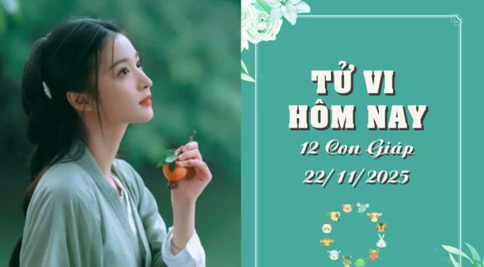 Tử Vi hôm nay ngày 22/11/2025 Của 12 Con Giáp: Tị Cân Bằng, Dậu Chán Nản Tử Vi hôm nay