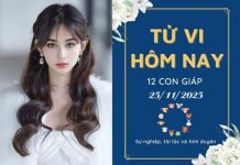 Tử Vi hôm nay 25/11/2025 Của 12 Con Giáp