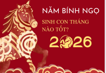 Năm 2026 sinh con tháng nào tốt, mùa nào hợp để con phát triển toàn diện? năm 2026 sinh con tháng nào tốt,