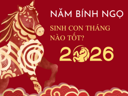 Năm 2026 sinh con tháng nào tốt, mùa nào hợp để con phát triển toàn diện? năm 2026 sinh con tháng nào tốt,