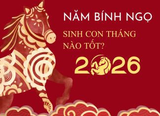 Năm 2026 sinh con tháng nào tốt, mùa nào hợp để con phát triển toàn diện? năm 2026 sinh con tháng nào tốt,