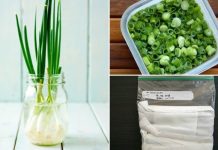 Mẹo Bảo Quản Hành Lá Được Lâu: Giữ Hương Vị Tươi Ngon Mỗi Ngày