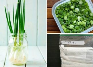 Mẹo Bảo Quản Hành Lá Được Lâu: Giữ Hương Vị Tươi Ngon Mỗi Ngày