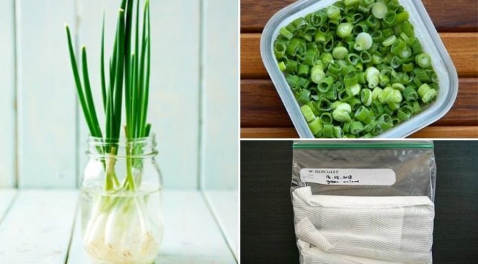 Mẹo Bảo Quản Hành Lá Được Lâu: Giữ Hương Vị Tươi Ngon Mỗi Ngày