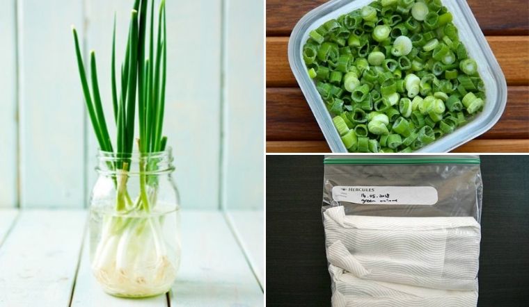 Bảo Quản Hành Lá