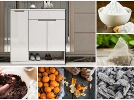 Mẹo Khử Mùi Trong Tủ Giày Hiệu Quả Và Đơn Giản Nhất khử mùi trong tủ giày