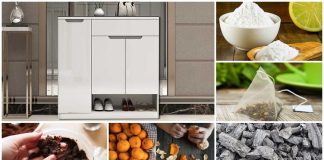 khử mùi trong tủ giày