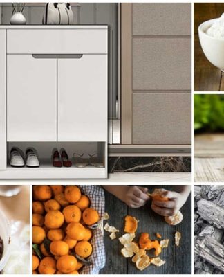 khử mùi trong tủ giày