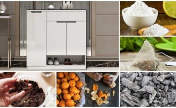 khử mùi trong tủ giày