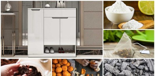 khử mùi trong tủ giày