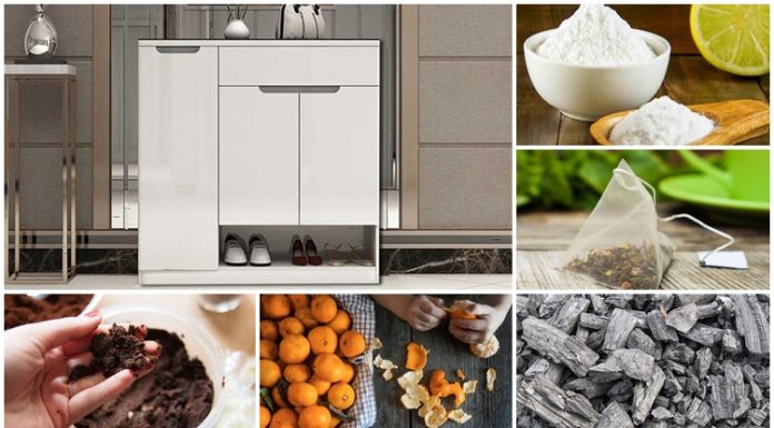 khử mùi trong tủ giày