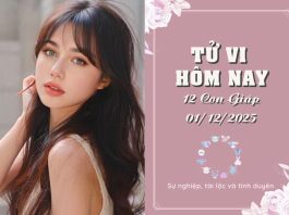 Tử vi hôm nay ngày 1/12/2025 của 12 con giáp: Sửu đối mặt xáo trộn, Thìn bế tắc tìm lối ra Tử vi hôm nay
