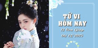 Tử Vi hôm nay ngày 4/12/2025 Chi Tiết 12 Con Giáp: Dậu Đại Cát, Hợi Viên Mãn & Cơ Hội Vàng Nào Đang Chờ Đón Bạn? Tử vi hôm nay