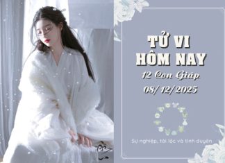Tử Vi Hôm Nay 8/12/2025 Của 12 Con Giáp: Dần Rạng Rỡ, Thìn Điềm Tĩnh Đón Một Ngày Bùng Nổ! tử vi hôm nay