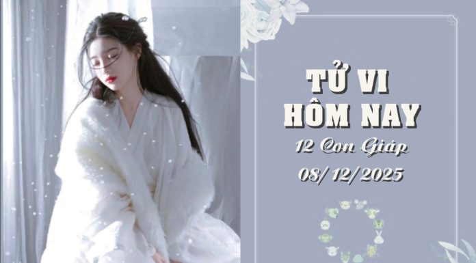 Tử Vi Hôm Nay 8/12/2025 Của 12 Con Giáp: Dần Rạng Rỡ, Thìn Điềm Tĩnh Đón Một Ngày Bùng Nổ! tử vi hôm nay