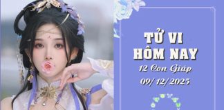 Tử vi hôm nay 9/12/2025: Dự đoán chi tiết vận trình 12 con giáp, Tuất đối mặt thị phi, Tý hao tài tử vi hôm nay