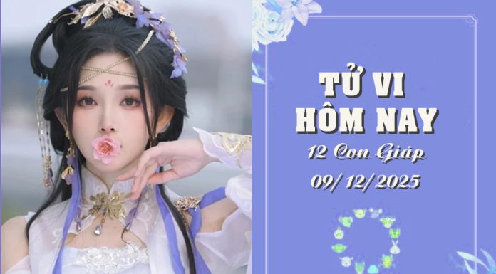Tử vi hôm nay 9/12/2025: Dự đoán chi tiết vận trình 12 con giáp, Tuất đối mặt thị phi, Tý hao tài tử vi hôm nay