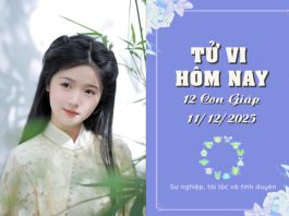 Tử vi hôm nay thứ 5 ngày 11/12/2025: 12 con giáp đón vận may rực rỡ, Tý thông minh, Hợi vượt trội Tử vi hôm nay