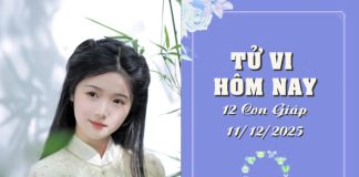 Tử vi hôm nay thứ 5 ngày 11/12/2025: 12 con giáp đón vận may rực rỡ, Tý thông minh, Hợi vượt trội Tử vi hôm nay