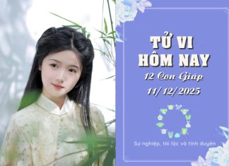 Tử vi hôm nay thứ 5 ngày 11/12/2025: 12 con giáp đón vận may rực rỡ, Tý thông minh, Hợi vượt trội Tử vi hôm nay