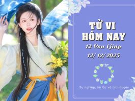 Tử Vi Hôm Nay Thứ 6, 12/12/2025 Của 12 Con Giáp: Hợi Tỏa Sáng, Dậu Đối Mặt Thử Thách Khó Lường Tử vi hôm nay